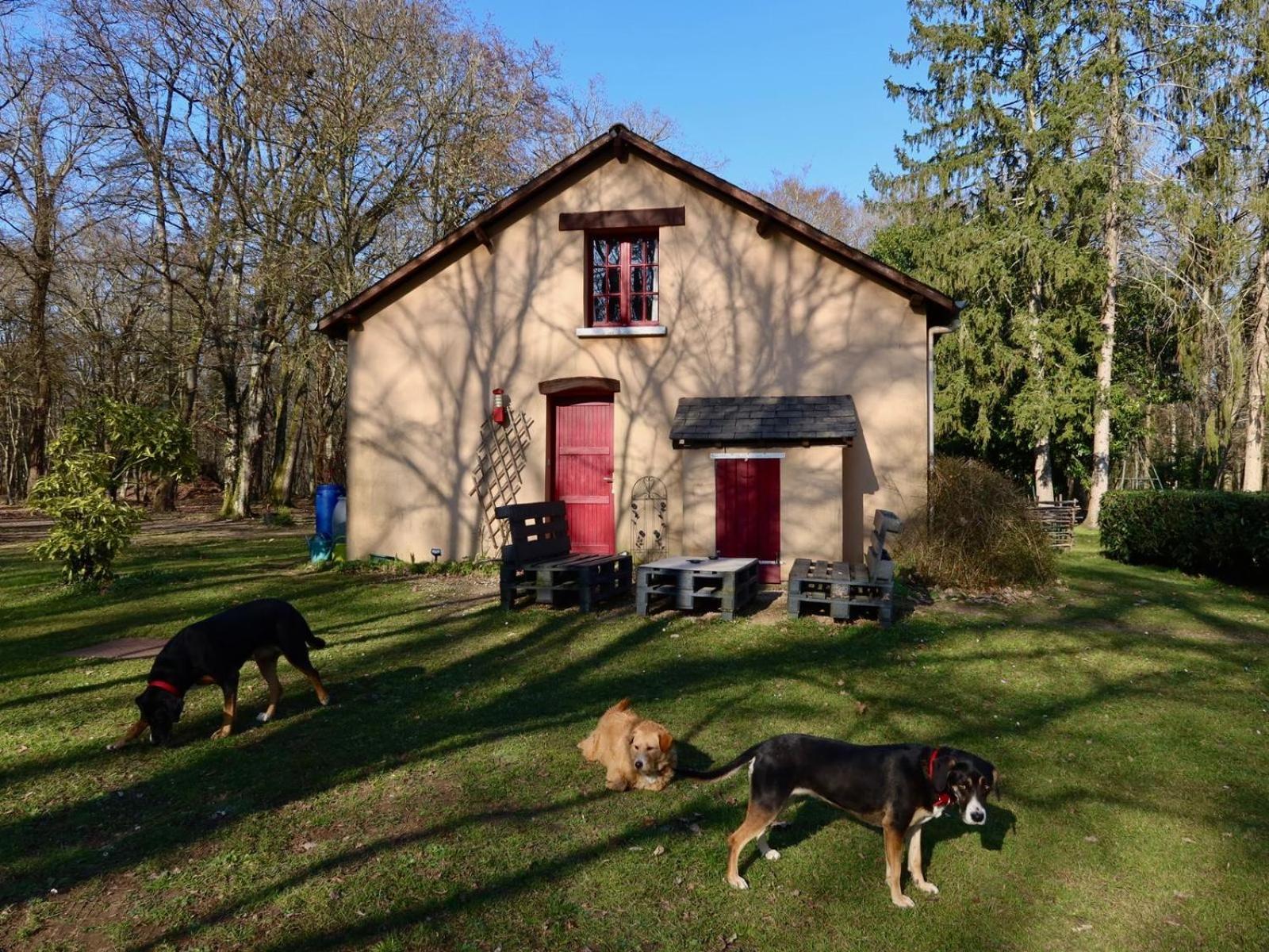 La Faisanderie Saint-Florent-sur-Cher Eksteriør bilde